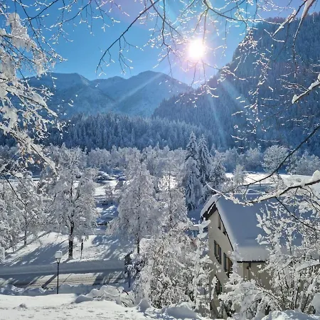 Alpenwohnung 
