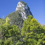 Alpenwohnung 