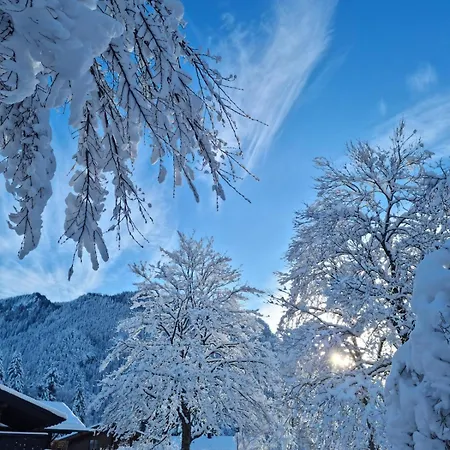 Alpenwohnung 