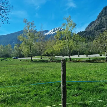 Alpenwohnung 
